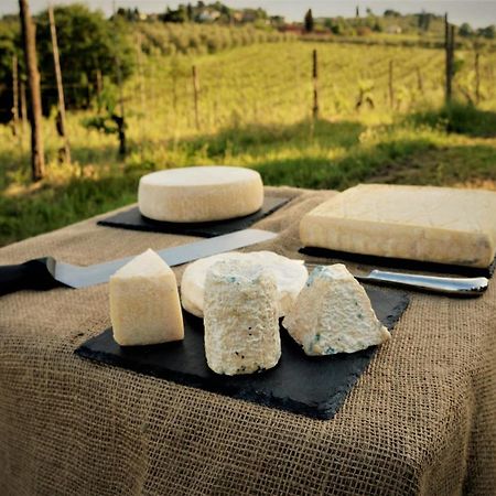 غامباسي تيرمي Agriturismo Fattoria Le Caprine المظهر الخارجي الصورة