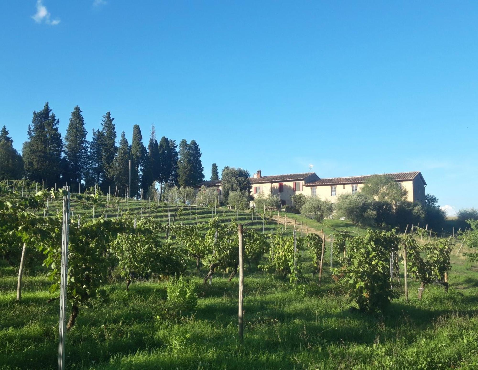 غامباسي تيرمي Agriturismo Fattoria Le Caprine المظهر الخارجي الصورة
