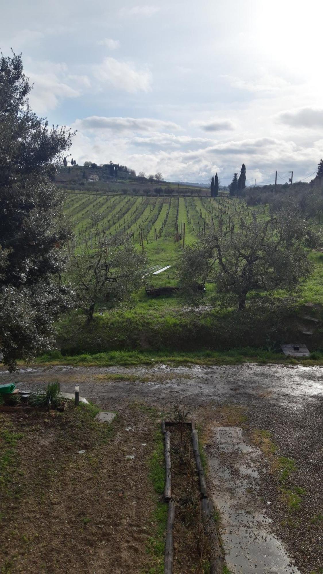 غامباسي تيرمي Agriturismo Fattoria Le Caprine المظهر الخارجي الصورة